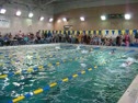 100 Butterfly Heat 2