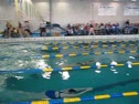 50 Freestyle Heat 1