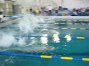 50 Freestyle Heat 2