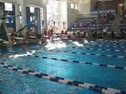 200 Freestyle Heat 4
