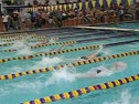 100 Freestyle (Pawlenty)