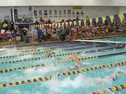 100 Free (Potter, McCollam)