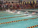 100 Freestyle (Tauber)
