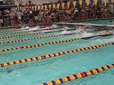 100 Freestyle (Roness)