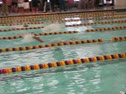 100 Butterfly (Knote)