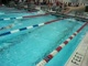 500 Freestyle Prelims (Harris)