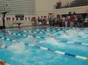 50 Free Prelims (Santaella, Nelson, McCollam)