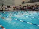 50 Free Prelims (Tauber, Potter)