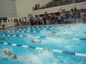 50 Free Prelims (Roness)