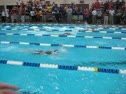 500 Freestyle (Harris)