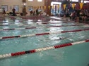 NSU DUal 200 Med Relay - Swimming video NSU DUal 200 Med Relay