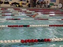 NSU Dual 1000 Free - Partial #2 - Swimming video NSU Dual 1000 Free - Partial #2