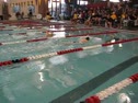NSU Dual 1000 Free - Partial - Swimming video NSU Dual 1000 Free - Partial