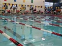 NSU Dual 100 Back - Swimming video NSU Dual 100 Back