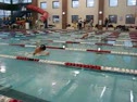 NSU Dual 100 Breast - Swimming video NSU Dual 100 Breast