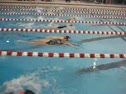 St Cloud Dual #2 100 Back Heat 2 - Swimming video St Cloud Dual #2 100 Back Heat 2