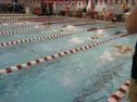 St Cloud Dual #2 100 Fly Heat 2