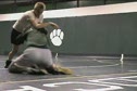 TRAINED v.1