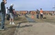 Greybull Becky TJ 2