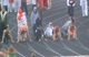 rock springs girls 100 ih 2