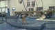 Brandi Personett Gainer Double Full