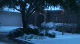 Christmas Blizzard in Texas!!