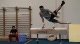 Jason Glenn Pommel