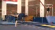 Kyndal Robarts Floor Routine