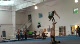 Level 10 WP Balance, USAAA (Traina, Jones)