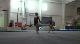 Level 4 WP, GPAT (Buhler, Girten)