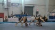 Level 6 WG, Browns (Lindemann, Caballero, Davis)