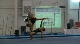 Level 7 WG, TAAG (Simpson, Leatherwood, Garcia)