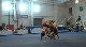 Level 9 WG Balance, TAAG (McCartney, Hulquist, Theis)