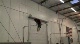 SCATS Level 7 High Bar Routine