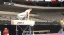 Tim McNeill Pommel 