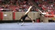 Utah (Kristina Baskett)