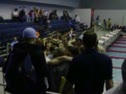 Team State Cheer at Finals