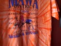 A Wrestling Establishment