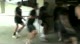 University of Maryland Wrestling-Preseason Training2