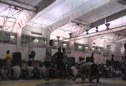 MOV00A - Wrestling video MOV00A