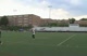 Danbury Dream Preview