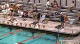 W 200 BREAST A
