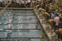 2009 EEX Holiday Classic (Rutgers University) Men's 100 Free Prelims - Swimming video 2009 EEX Holiday Classic (Rutgers University) Men's 100 Free Prelims