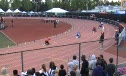 B 400 H01 (Seeded)