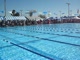 50 fly