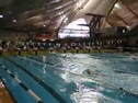 Picture 017