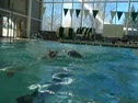 Picture 022