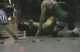 2007-2008 Wresting Video