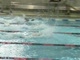Pre-Gobbler 50  Free 13-14