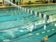 Mercersburg Meet Boys 8 and under Breaststroke